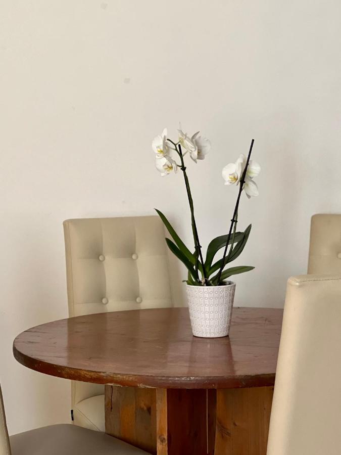 Novi Ligure Private Apartment Екстериор снимка